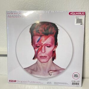 Aquarius David Bowie Aladdin Sane Puzzle